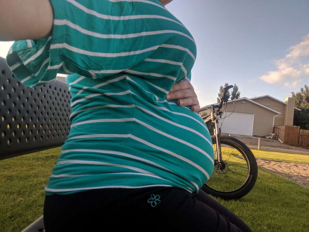 pregnant belly